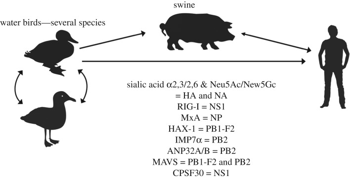 Figure 1.