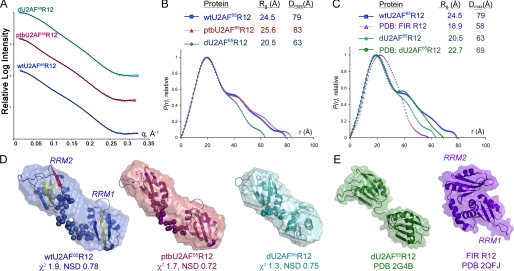 FIGURE 2.