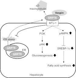 FIG. 6.