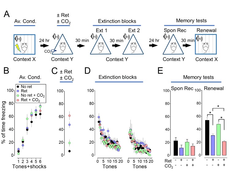 Figure 1—figure supplement 1.