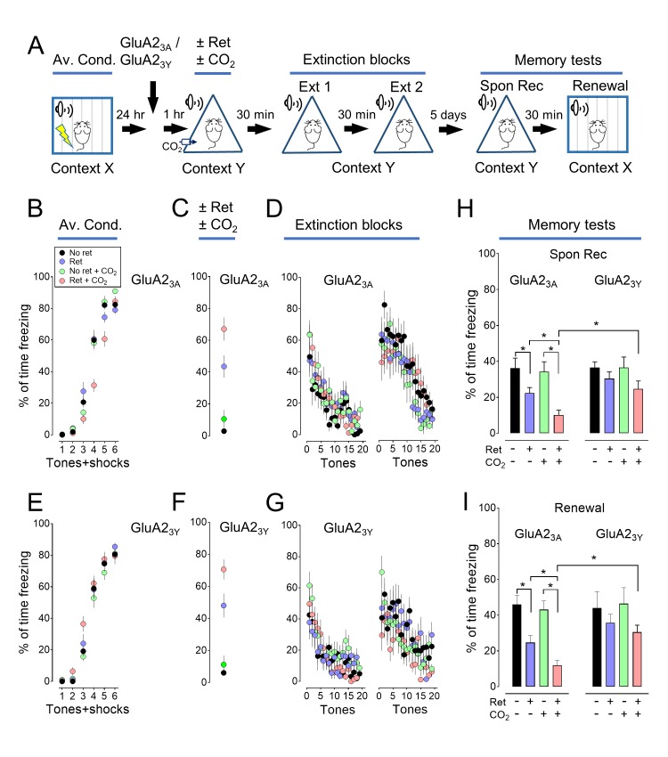 Figure 3—figure supplement 2.