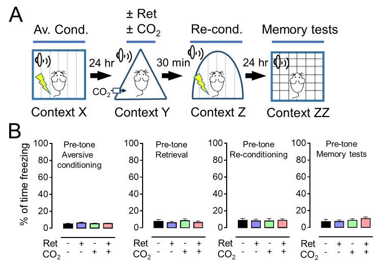 Figure 2—figure supplement 1.