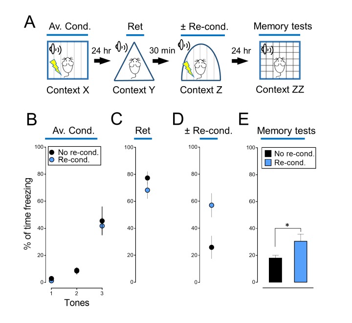 Figure 2—figure supplement 2.