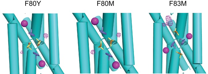 Figure 3—figure supplement 4.