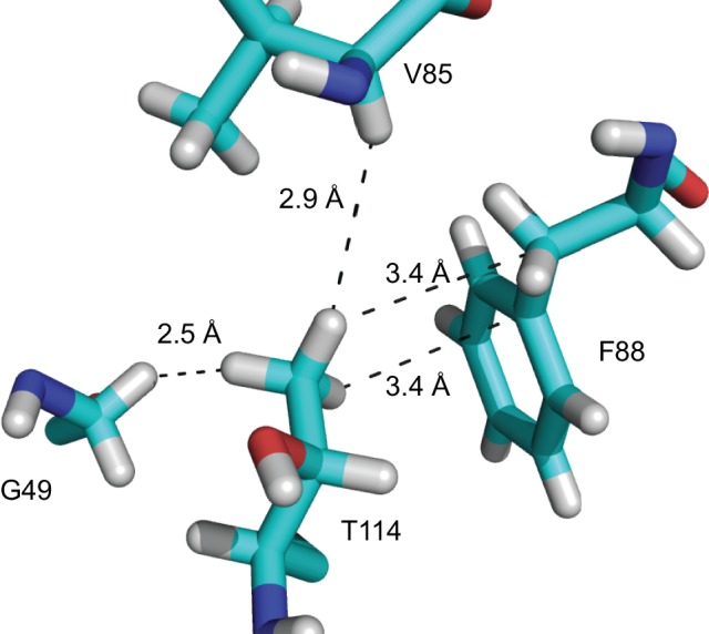 Figure 4—figure supplement 3.