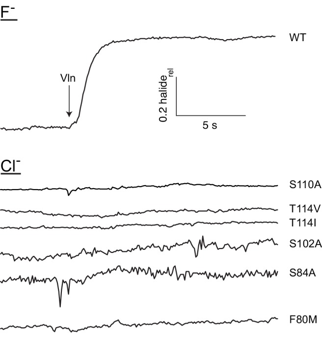 Figure 2—figure supplement 2.