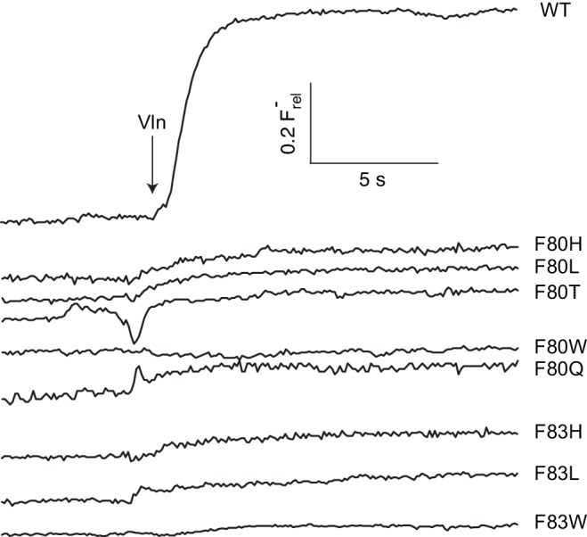 Figure 3—figure supplement 1.