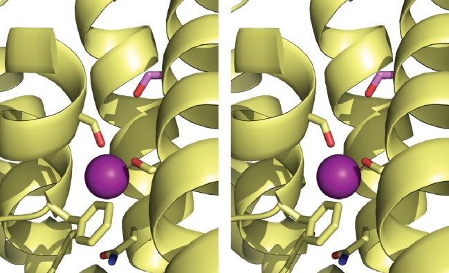 Figure 4—figure supplement 1.