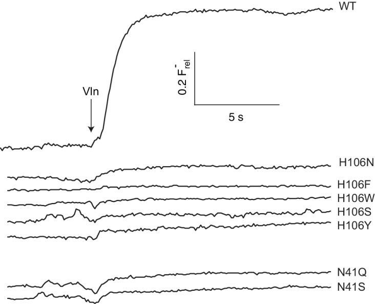 Figure 2—figure supplement 1.