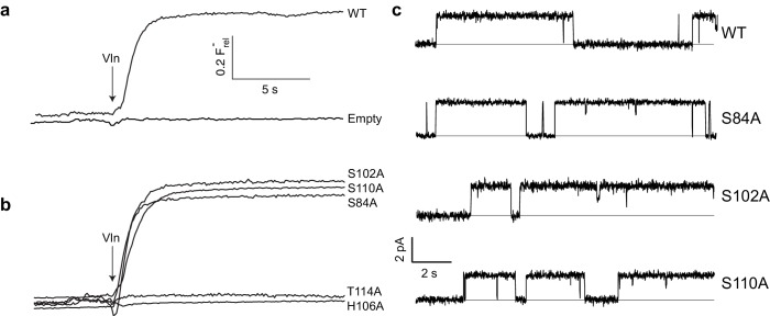 Figure 2.