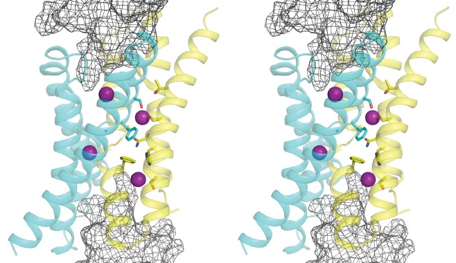 Figure 1—figure supplement 1.