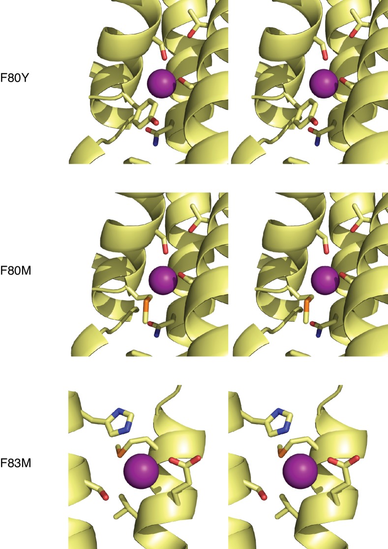 Figure 3—figure supplement 2.