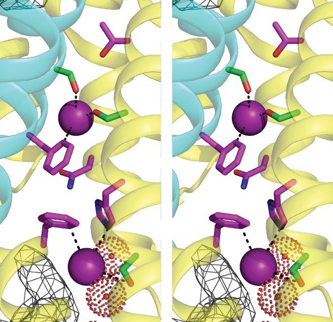 Figure 5—figure supplement 1.