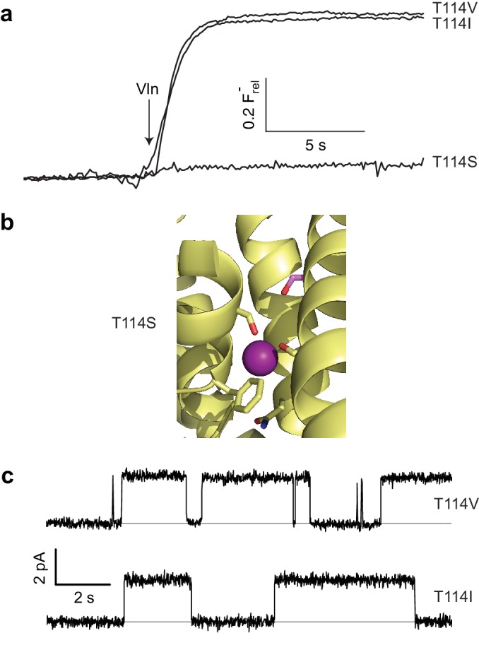 Figure 4.