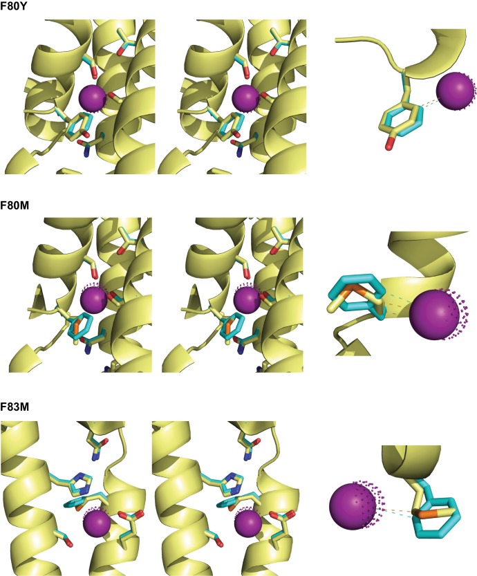 Figure 3—figure supplement 3.