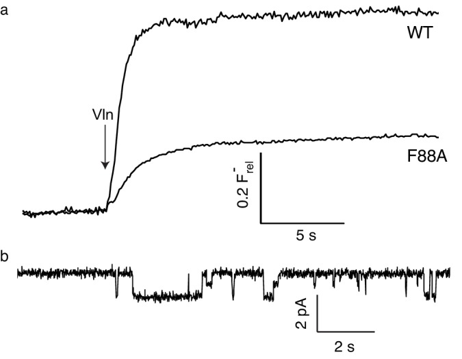 Figure 4—figure supplement 4.