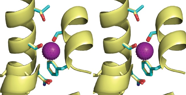 Figure 4—figure supplement 2.