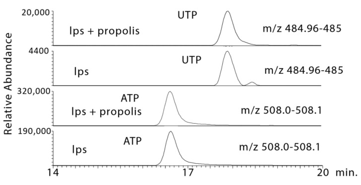 Figure 9