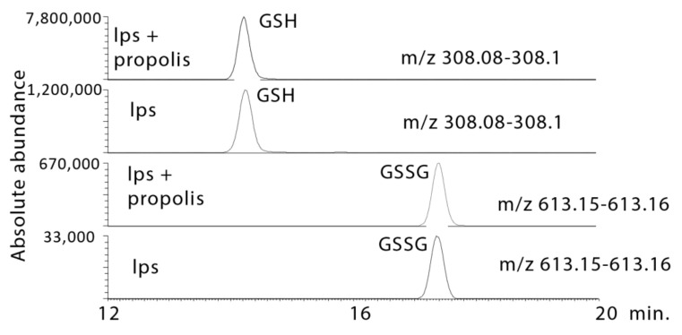 Figure 12