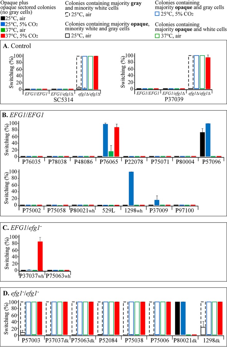 FIG 2