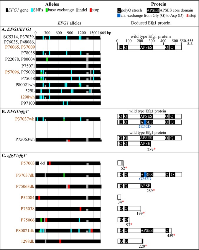 FIG 3