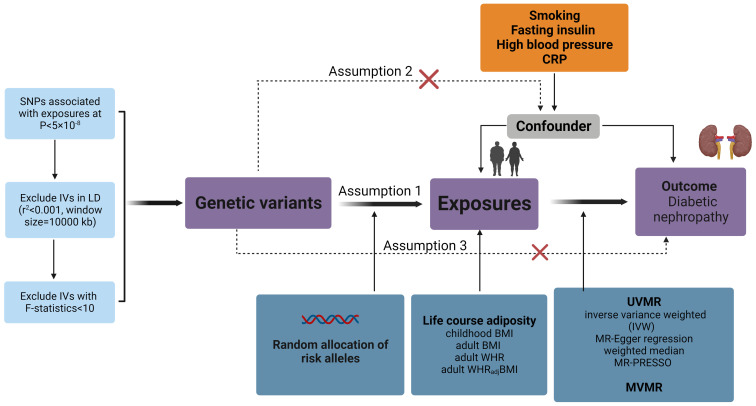 Figure 1