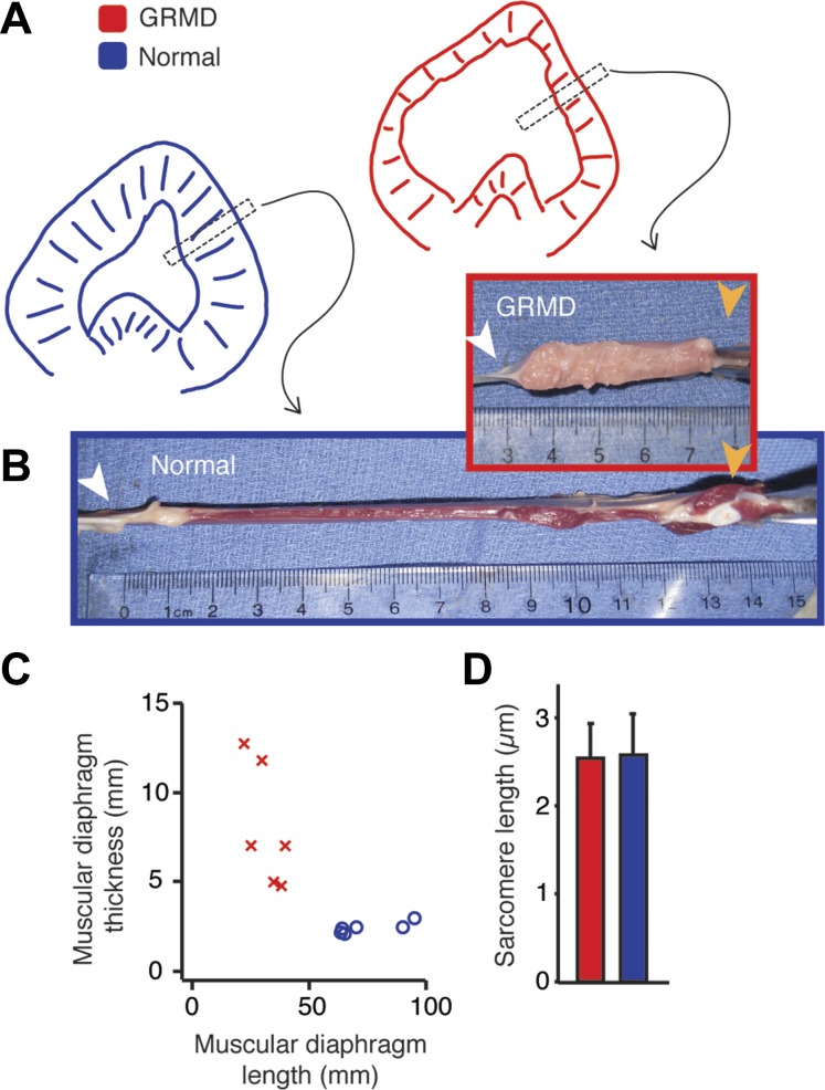 Fig. 5.