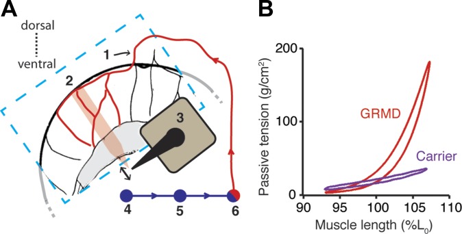 Fig. 7.