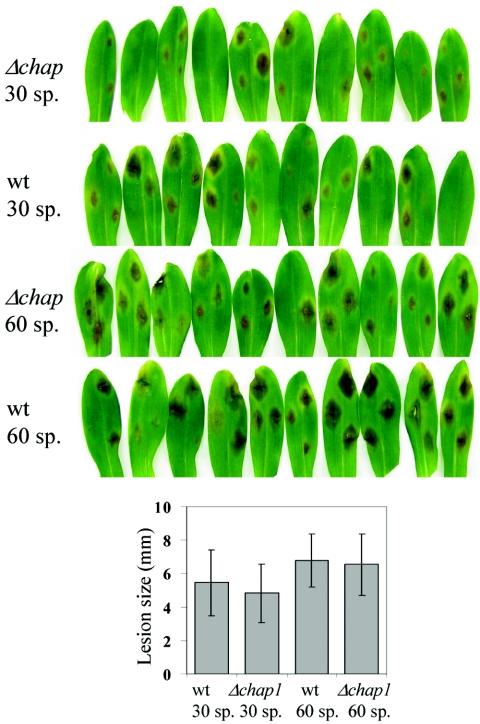 FIG. 5.