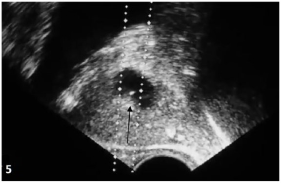 Figure 5.