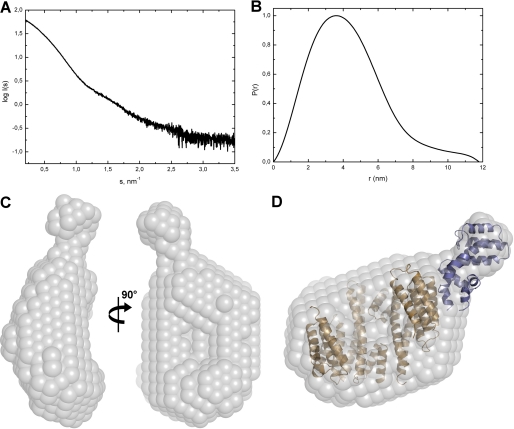 FIGURE 2.