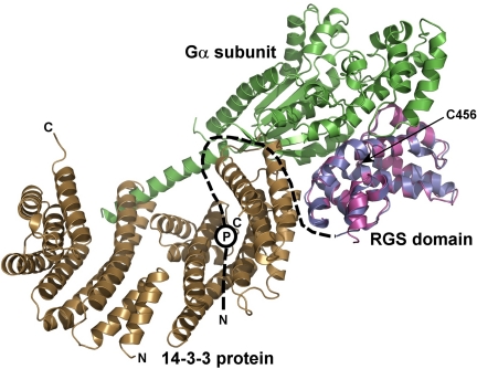 FIGURE 7.