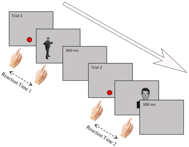 FIGURE 2