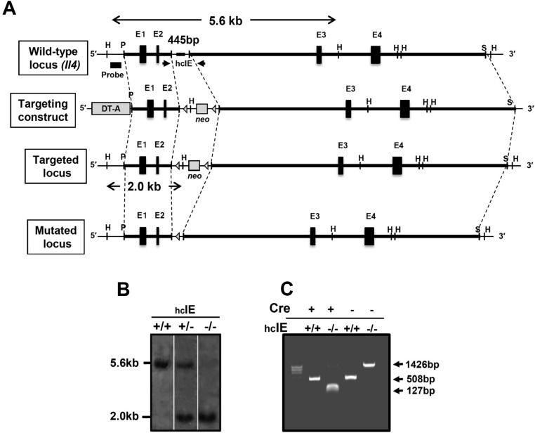 Fig. S4.