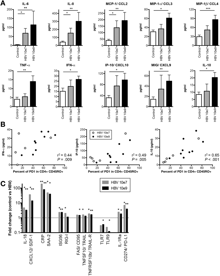 Figure 6