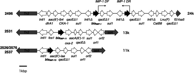 FIG 1