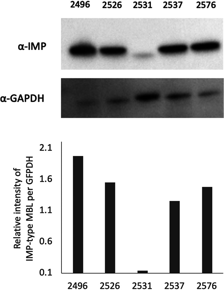 FIG 2