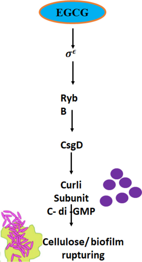 Fig. 2