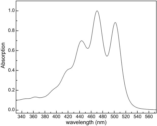 FIGURE 11