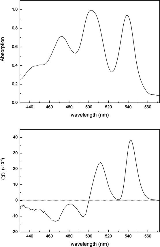 FIGURE 4