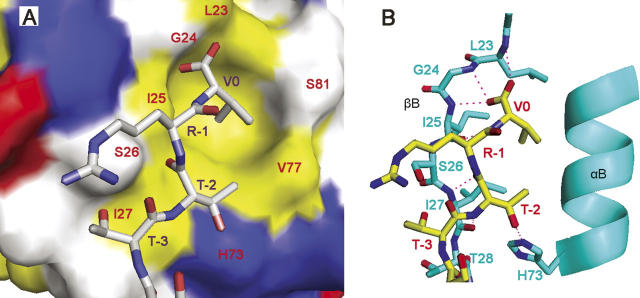 Figure 6.