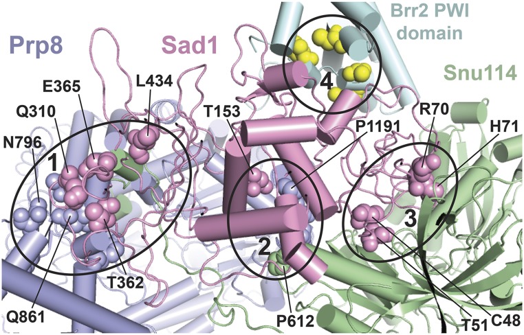 Figure 5