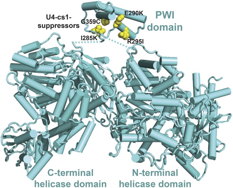 Figure 4