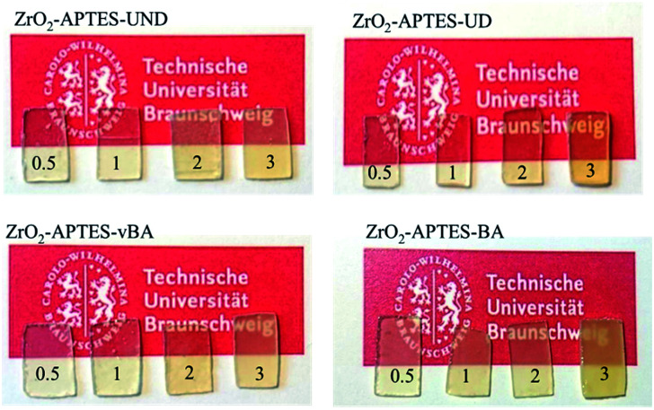 Fig. 10