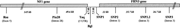 Figure  1