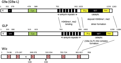 Figure 1.