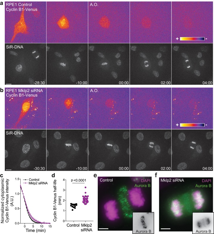 Figure 1—figure supplement 3.