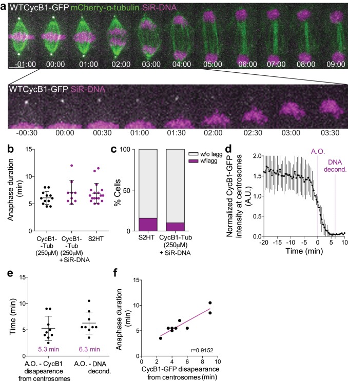 Figure 1—figure supplement 2.