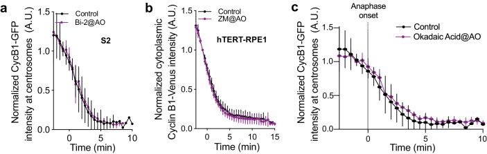 Figure 10—figure supplement 1.