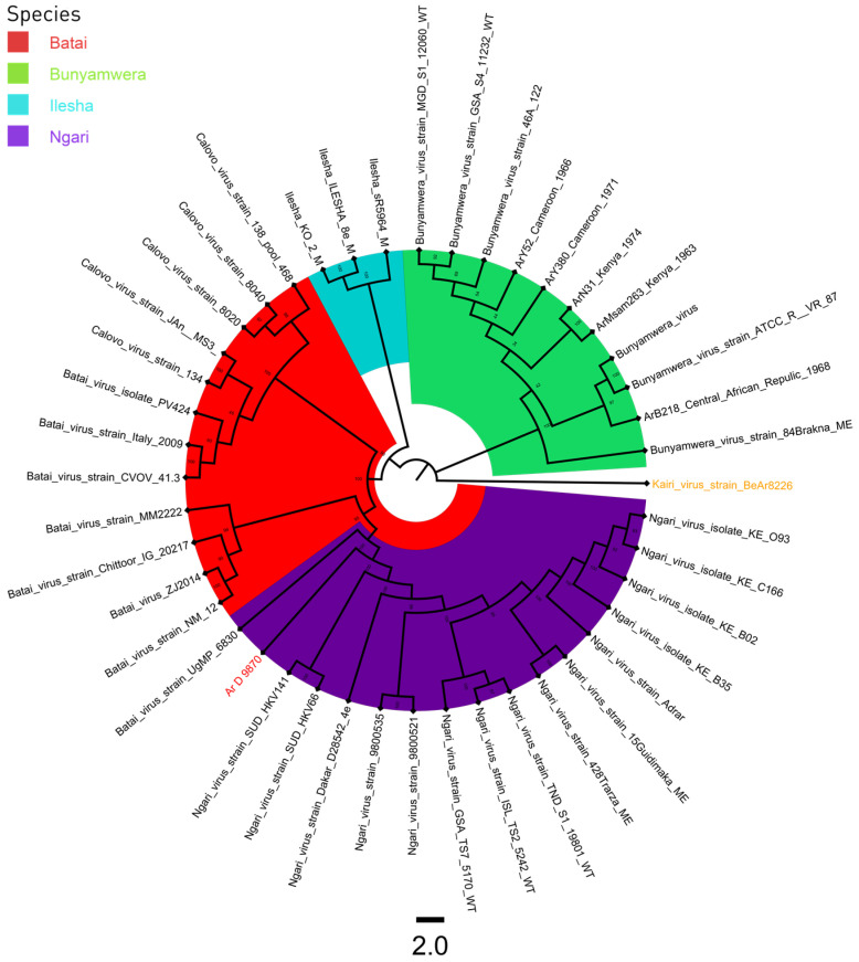 Figure 2